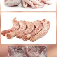 اسکلت و گردن و پای مرغ