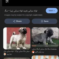 پذیرفتن سگ واگذاری