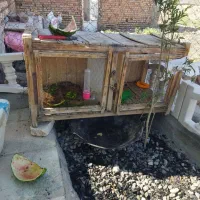 قفس چوبی یا کجه