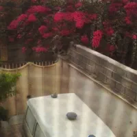 معاوضه پراید با تی بیا صندوق دار