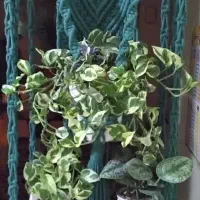 آویز مکرمه همراه با استند