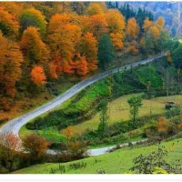 تور شاد شمال
