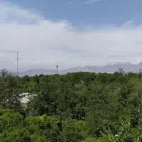 فروش اداری ( ۹۸ متر )در بهترین لوکشین بلوار کشاورز|فروش دفتر کار، اتاق اداری، مطب|تهران, بلوار کشاورز|دیوار