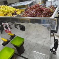سالم آماده به کار+گیری فرو ش×آبغوره منا سب/آبلیمو+