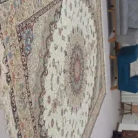 یک تخته فرش ۱۲ متری