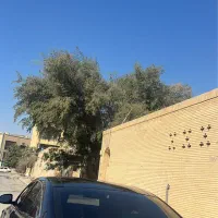 تالیسمان ۲۰۱۸