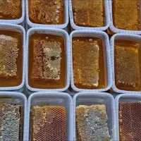 عسل درجه 1 طبیعی سلطان ساوالان ارسال به تهران