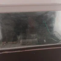 اکواریوم