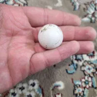 سنگ آسیاب الماس اصلی