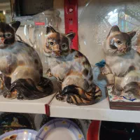 برای شما کنارگذاشتم