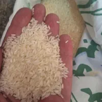 برنج اقتصادی خوش پخت عنبربو