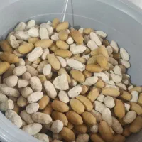 کشک خشک کاملا طبیعی