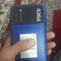 کوشی شیامی M3سالم نو نو