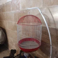 قفس پرنده