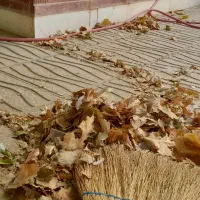 اجاره ویلایی حافظیه
