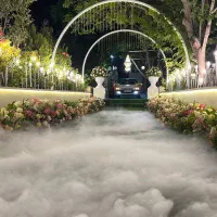 نیازمند چند نیرو جهت گل ارایی باغ مجالس و سفره عقد