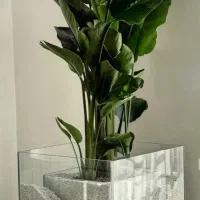 گلدان شیشه ای فلورا