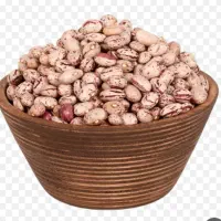 لوبیاچیتی پا کوتاه
