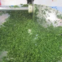 سبزی قورمه کوکو اش