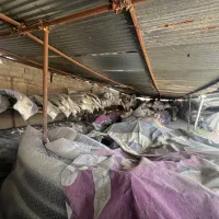 بدنه گلگیر سپر چراغ کاپوت ۲۰۶ ۲۰۷ ۴۰۵ پارس پراید