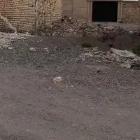 زمین-سند-و-پروانه-جنوبی