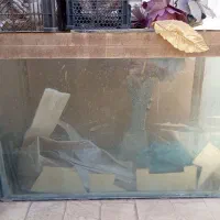 اکواریم بزرگ عید