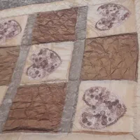 روتختی وپتو