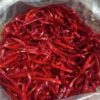 فلفل تند خشک درجه یک