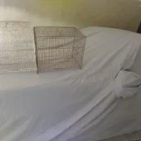 قفس پرنده