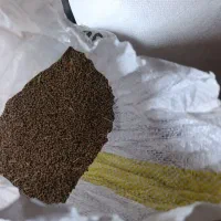 گاو دانه