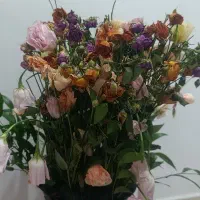 گل طبیعی