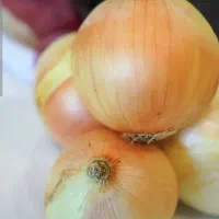 پیاز خوراکی