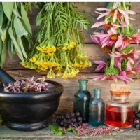 استخدام بانوان جویای کار