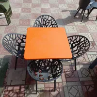 ست ۴نفره میز وصندلی شاخو برگی