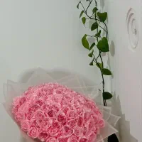 باکسی|گل مصنوعی|زنجان, |دیوار