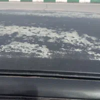 دوو سیلو ۷۸
