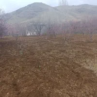 کار باتیلر ۱۲ اسب کاما