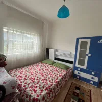 سند-تک-برگ-کنار-جنگل170متری3650قیمت-کل