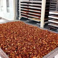 سویق نی نی نوش