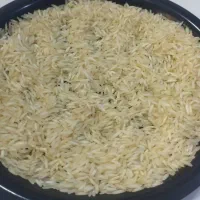 برنج هندی ساحل نشینان