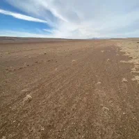 فروش120جریب-زمین-کشاورزی-با-آب