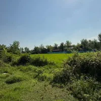 زمین-1000متر-مسکونی-کد-پشکه