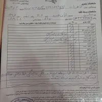 206 تیپ 2