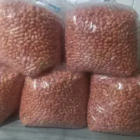 بادام زمینی ایرانی تازه اعلادشت مغان