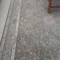 فرش ۶متری ۱۲۰۰شانه