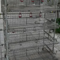 قفس بلدرچین تخم گذار