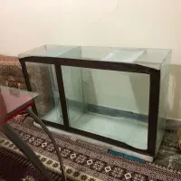 اکواریم