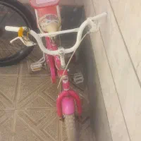 دوچرخه فروشی (۱۲)و(۲۴)