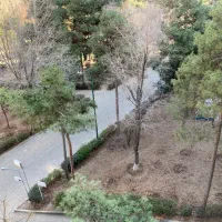 ۴ خواب بالای ورزشگاه فوری فروشی