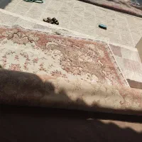 قالی 12 متری
